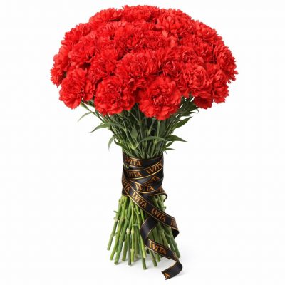 Гвоздика красная