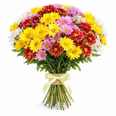 Ромашка микс 2