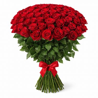 Розы Эквадор