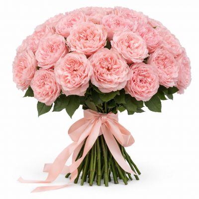 Розы Пионовидные одноголовые светло-розовые